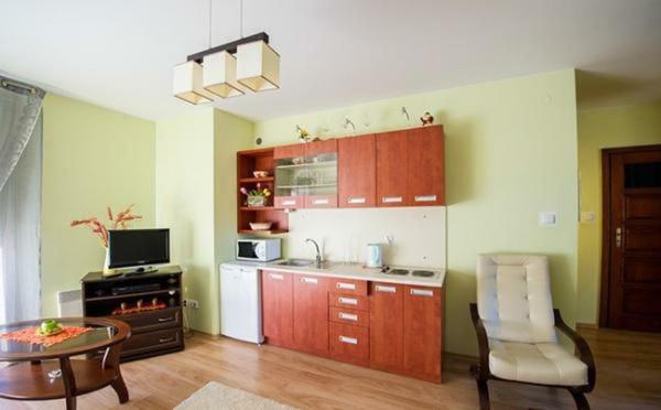 Panorama Koscielisko Apartman Zakopane Kültér fotó