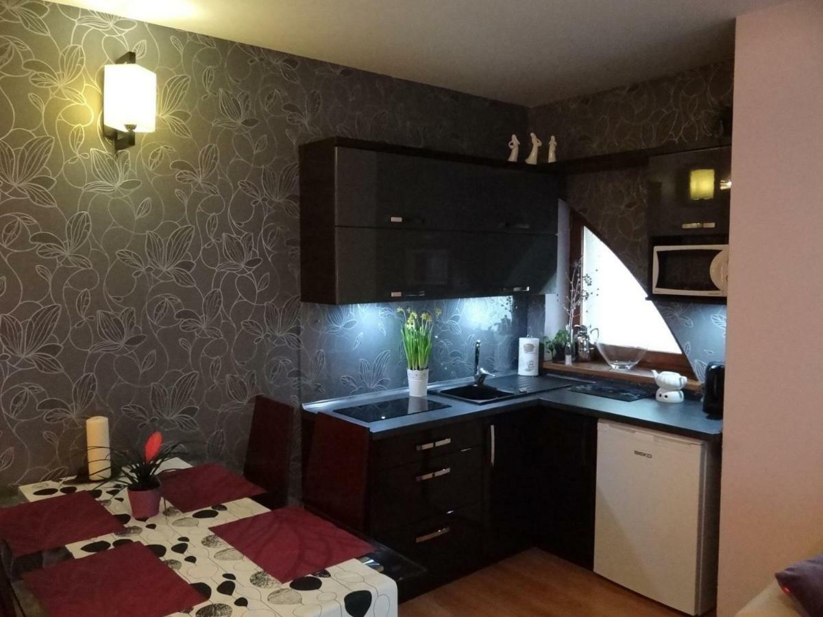 Panorama Koscielisko Apartman Zakopane Kültér fotó